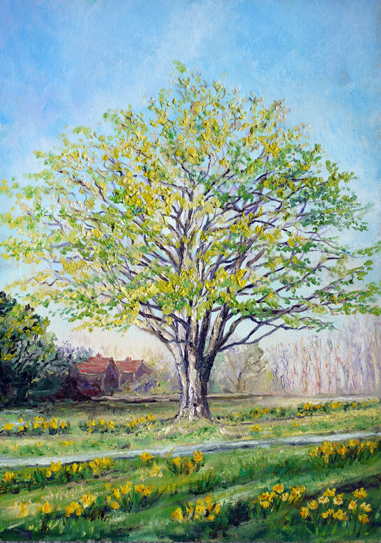 "THE VILLAGE MAPLE "-SPRING