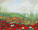 Cow Parsley and Poppies - PRINTS AVAILABLE