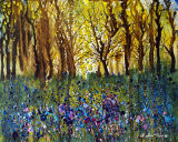 Bluebells in the woods - PRINT AVAILABLE