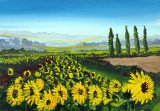 Field of Sunflowers - PRINT AVAILABLE