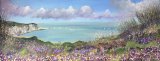 Alum Bay, The Isle of Wight - 36" x 14"