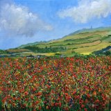 Chale Poppies, The Hoy Monument - PRINTS AVAILABLE