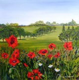 Poppies at Hyde Hall - SQUARE PRINT AVAILABLE