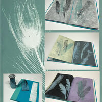 julie Macbean artist books mono prints with feathers