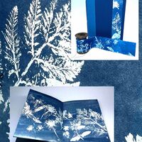 Pamphlet book with cyanotype printmaking and a reel