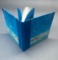 Blue, Mono print painting