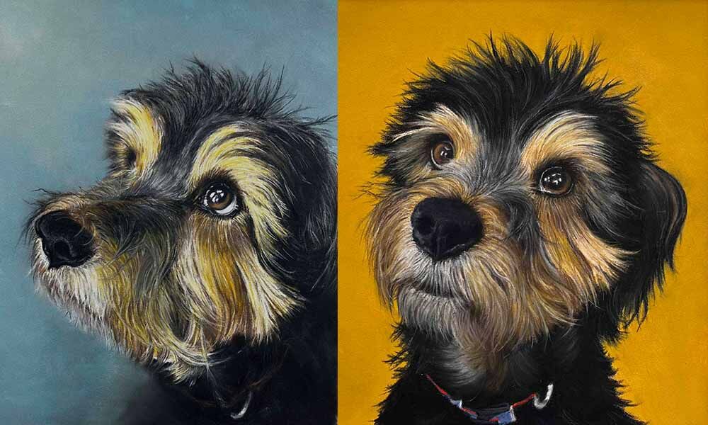Dog portrait In pastel pencils