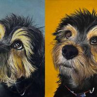 Dog portrait In pastel pencils