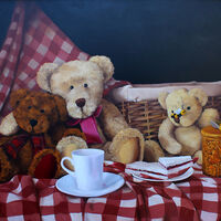 still life painting, friends soft toys Julie Macbean