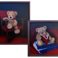 still life bears