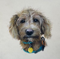 Pet Portraits & Still Life