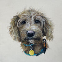 Pet Portraits Sheppy Pastel Pencils