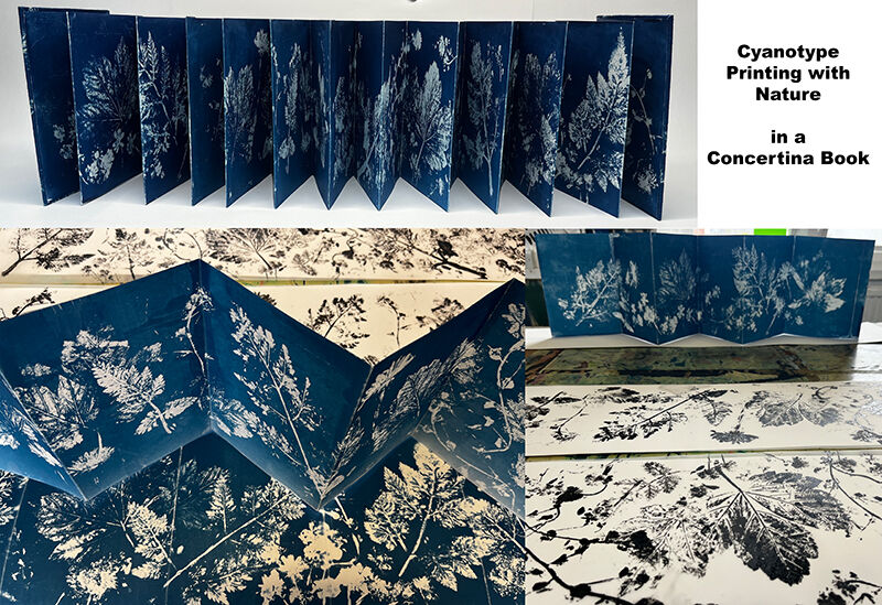 Cyanotype concertina book