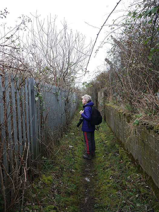 walking the Black Path middlesbrough julie Macbean Artist