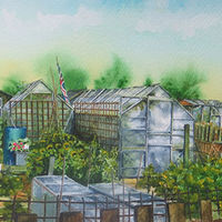 Julie Macbean, Windy Corner, Allotments, flatlands