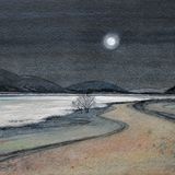 Flooded by Moonlight