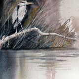Heron on the Tweed