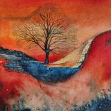 Winter Sunset, Sycamore Gap, Hadrian`s Wall Winter Sunset