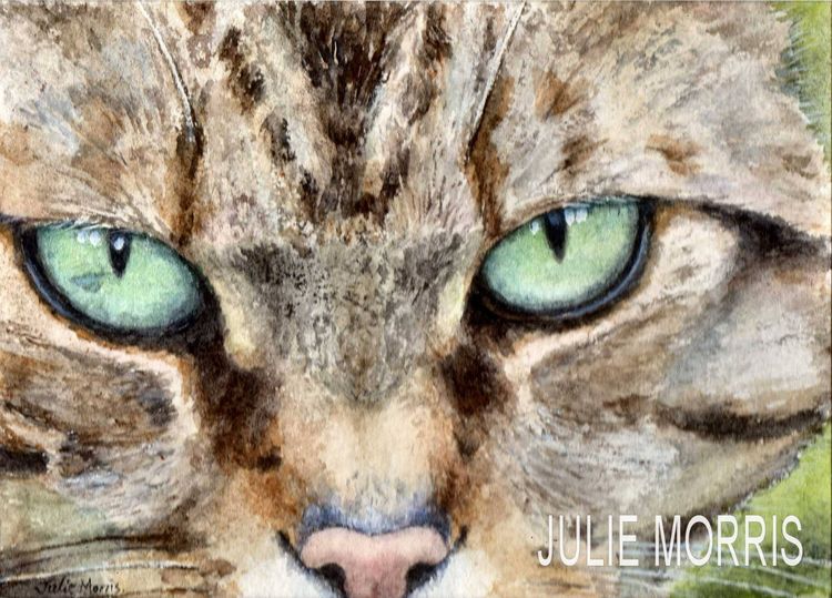 Wildcat