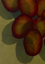 Age of Beauty collection. 2015 - 2018