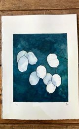 Study of Honesty Seeds