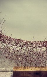 Wire sculptural spine.