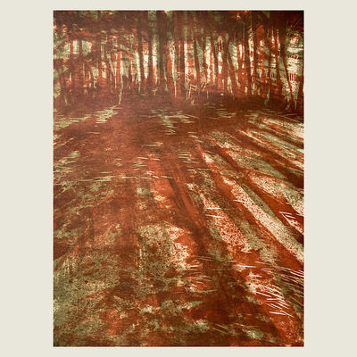 Horizons 1: into the woods