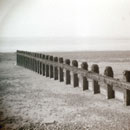 Holga 7