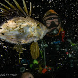Playing in the bubbles