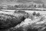 Alfriston in black and white