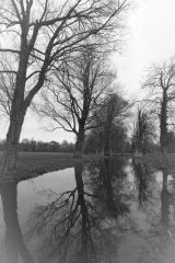 Firle Park Reflections
