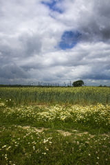 Before the Storm