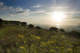 Butts Brow at sunrise in Spring