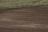 Ploughed Fields