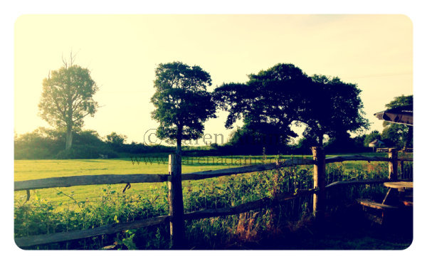 Summer Drink in a Country Pub