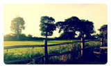 Summer Drink in a Country Pub