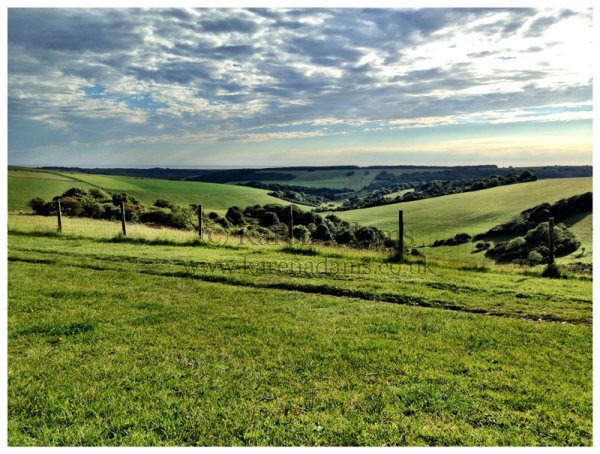 Butts Brow on a Summer Evening