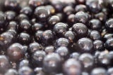 Sloes
