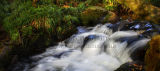 Flowing stream