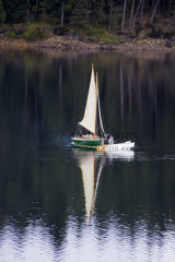 Reflections on Kielder