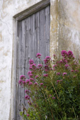 Rustic door