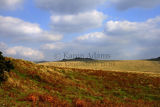 Tor near Postbridge, Devon