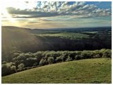 Summer evening on South Downs Way Sussex