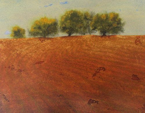 Devon soil