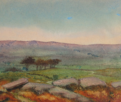 Dartmoor, Near Tavistock