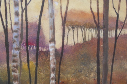 Silver birches