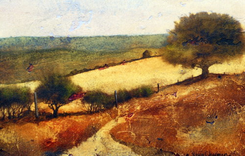 South Downs Way 11