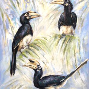 Happy Hornbills