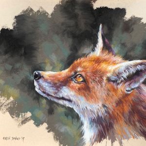 Fox Study