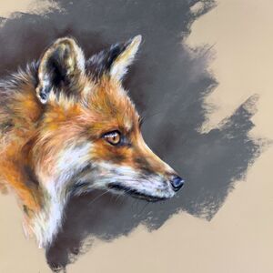 Fox Study 3